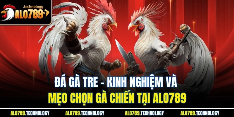 Đá Gà Tre - Kinh Nghiệm Và Mẹo Chọn Gà Chiến Tại Alo789 1 Đá Gà Tre - Kinh Nghiệm Và Mẹo Chọn Gà Chiến Tại Alo789