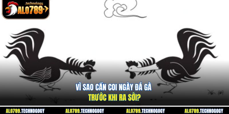 Coi Ngày Đá Gà - Bật Mí Cách Chọn Ngày Đẹp Để Thắng To 2 Dân chơi kiểm tra ngày tốt trước khi cho chiến kê ra sới