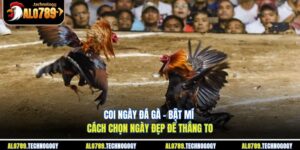 coi ngày đá gà
