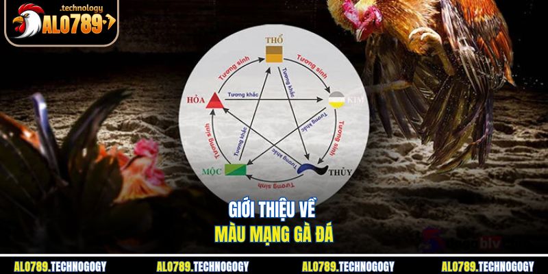Màu Mạng Gà Đá - Cách Xem Chuẩn Nhất Cho Người Chơi Mới 2 Các màu mạng phổ biến ứng với các ngũ hành