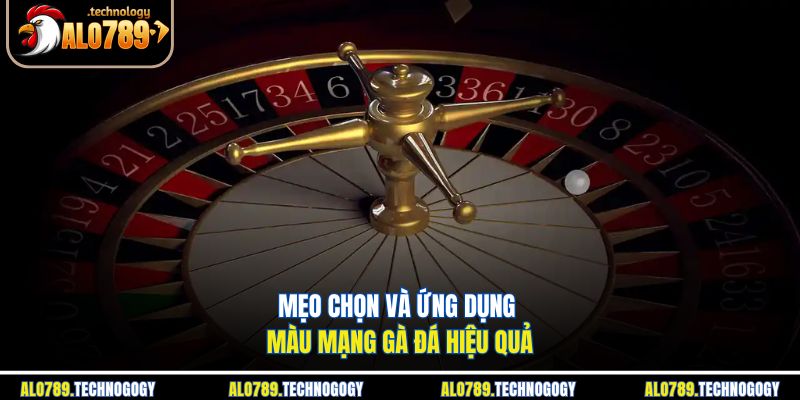 Màu Mạng Gà Đá - Cách Xem Chuẩn Nhất Cho Người Chơi Mới 4 Chiến kê hợp màu mạng được chăm sóc kỹ trước khi ra sới