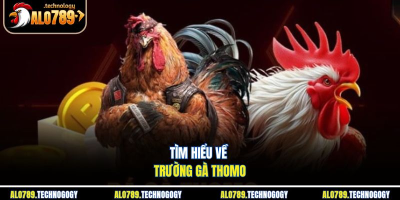 Trường Gà Thomo - Sới Đá Gà Nổi Tiếng Nhất Biên Giới 2 Không khí sôi động trong một trận đấu gà tại trường gà