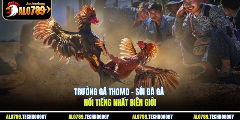Trường Gà Thomo - Sới Đá Gà Nổi Tiếng Nhất Biên Giới 1 trường gà Thomo